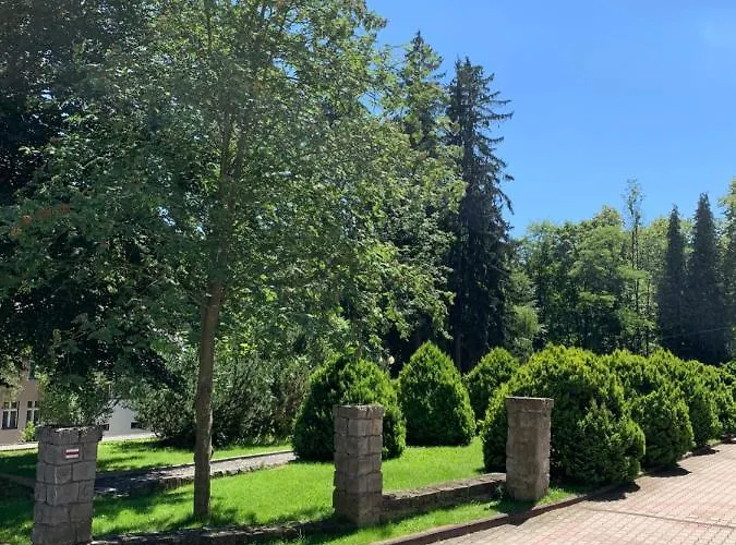 Aleksander * Długopole-Zdrój